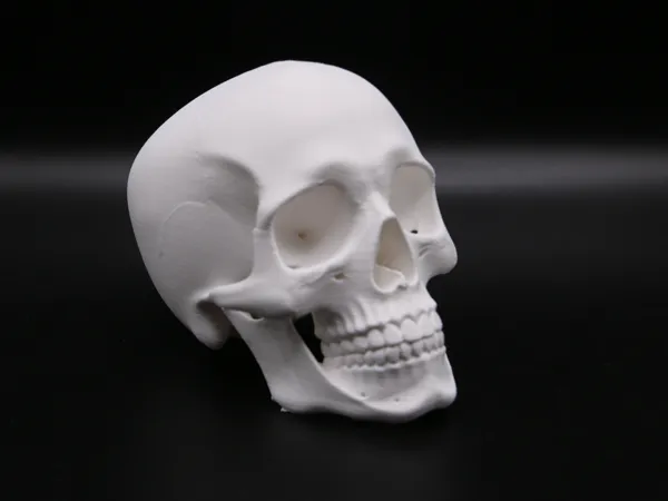 https://makerworld.bblmw.com/makerworld/model/US92f21d765ff72b/design/fcaa503a49caacc1.jpg