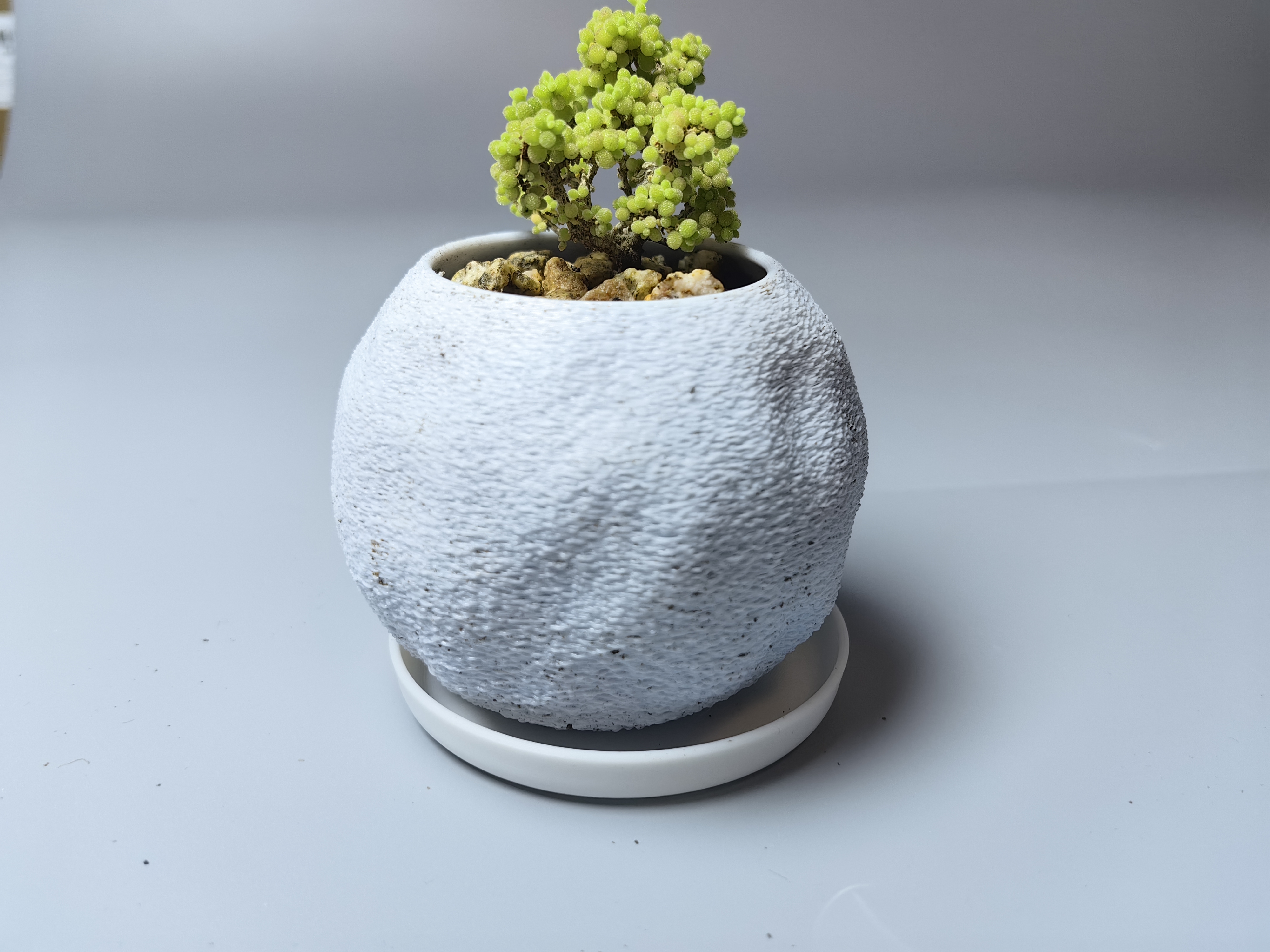 Miniatura 1 do modelo 3D 简约现代花盆