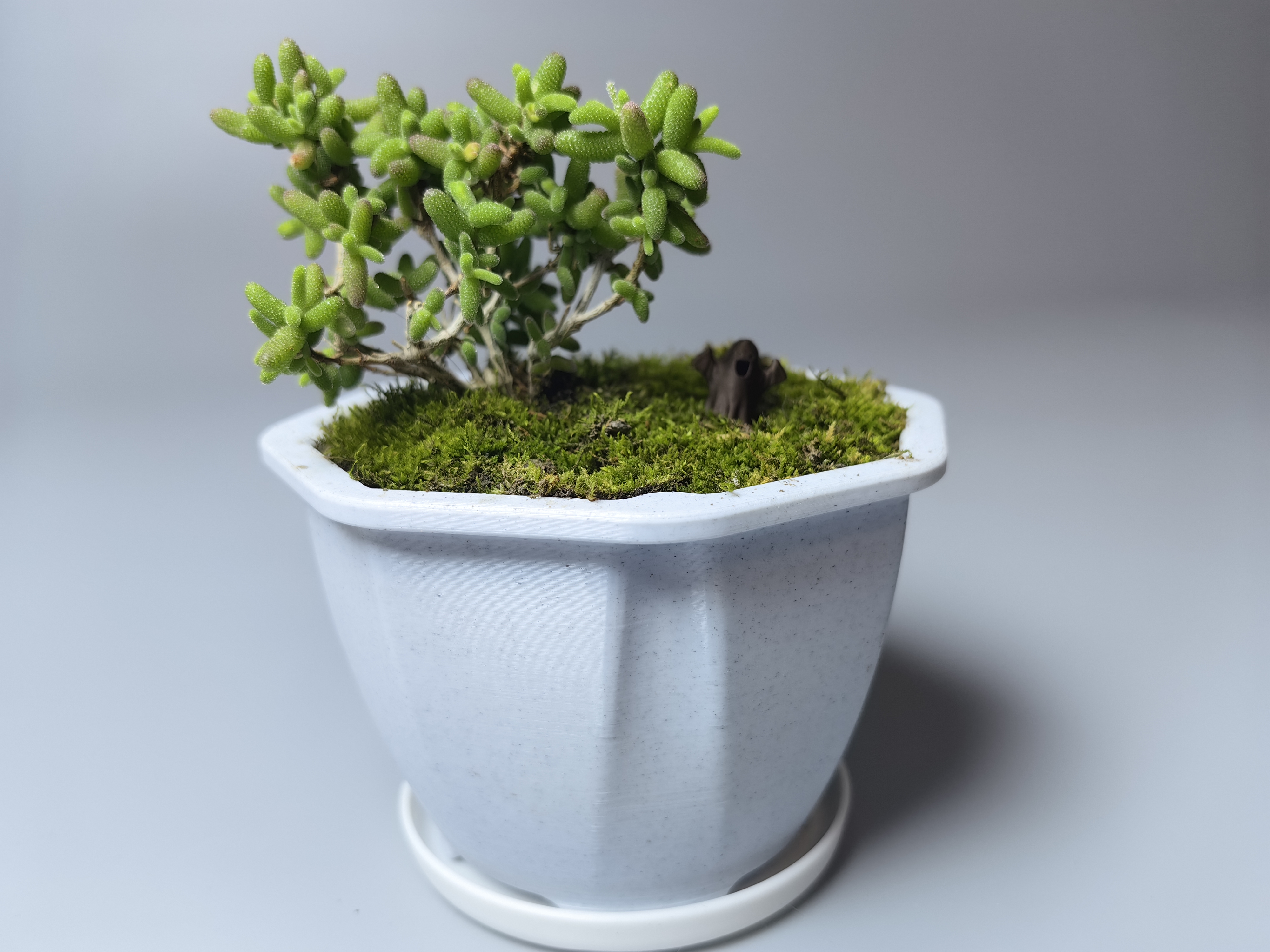 Miniatura 4 do modelo 3D 简约现代花盆
