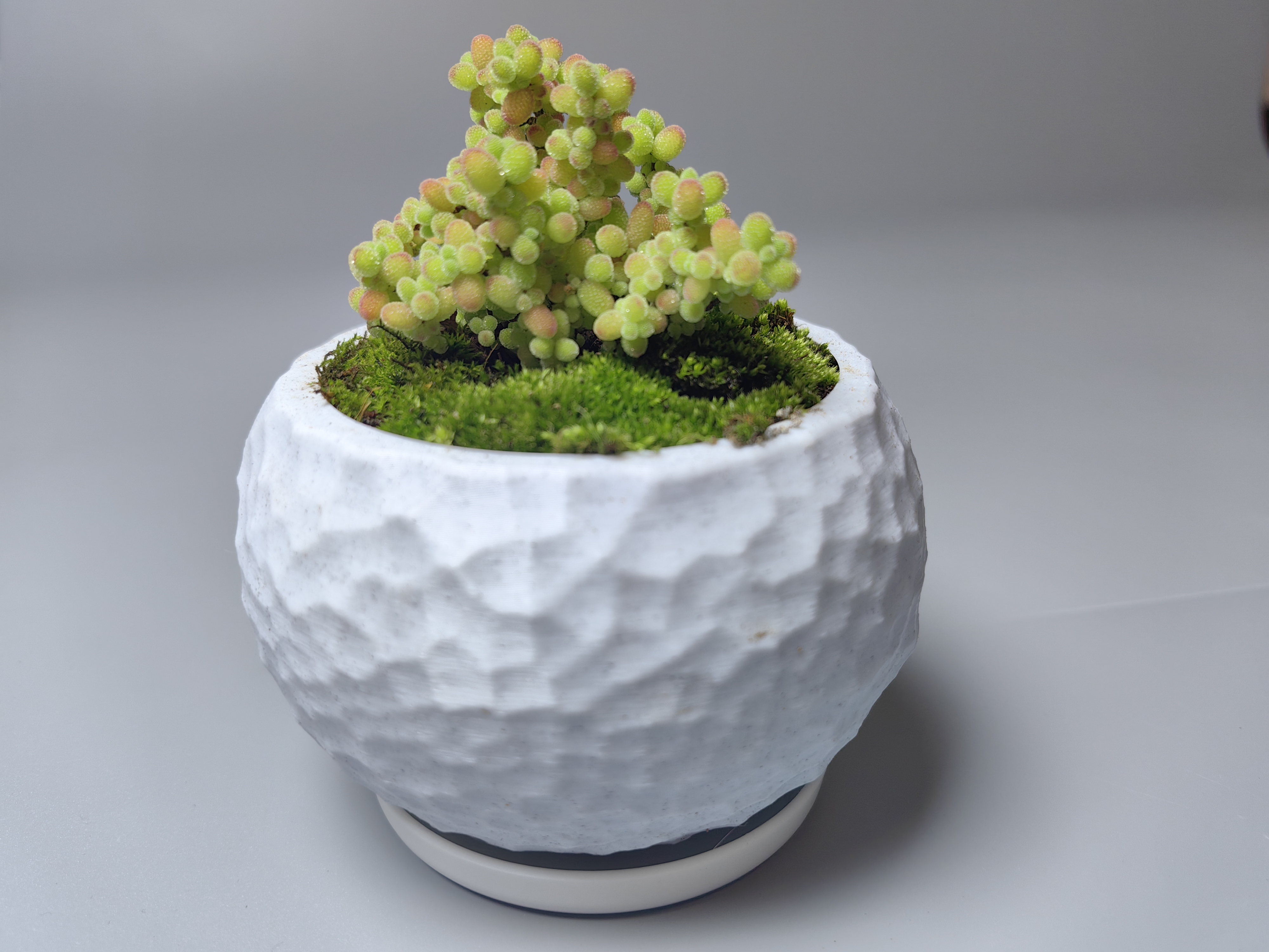 Miniatura 3 do modelo 3D 简约现代花盆