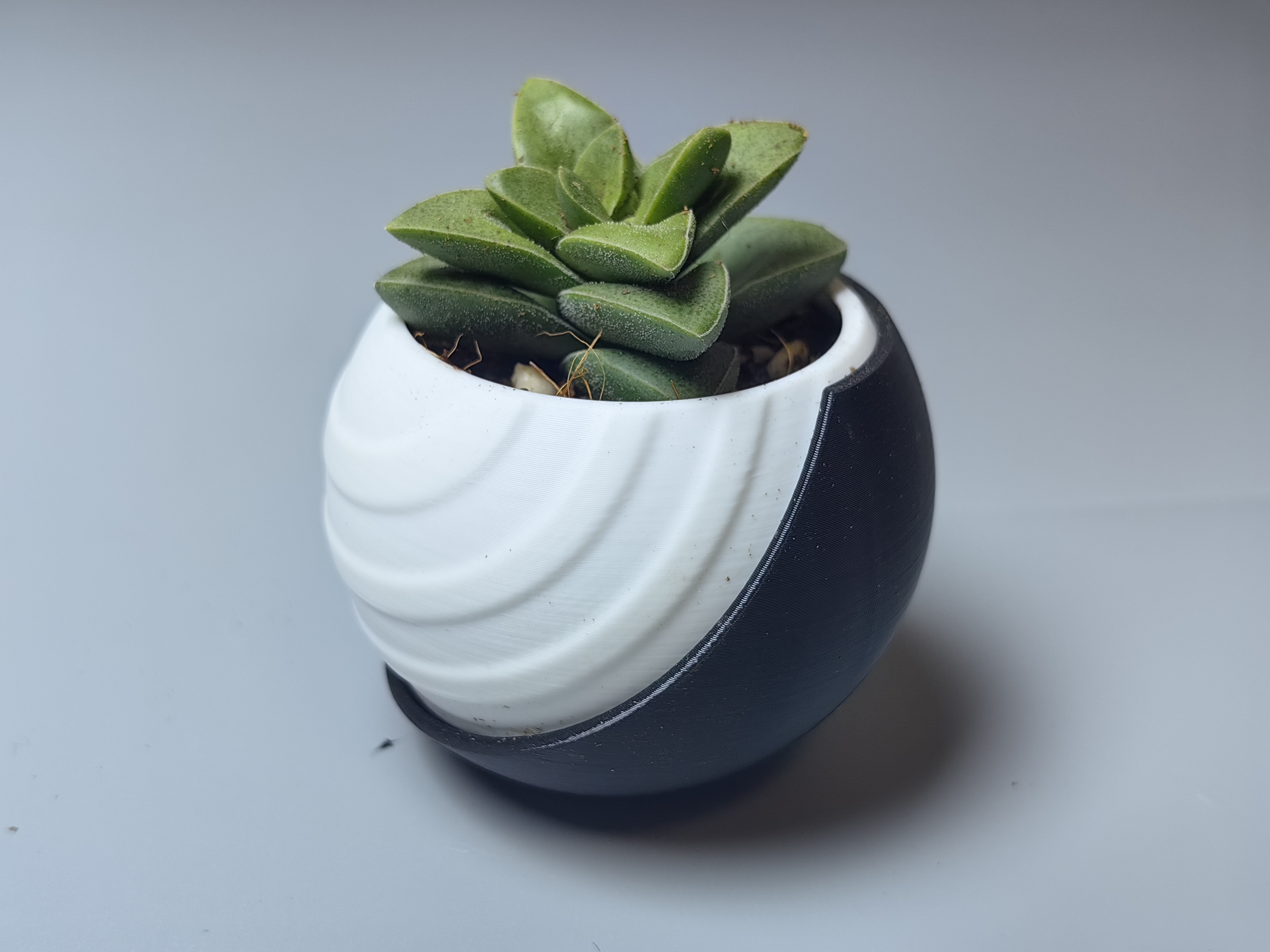 Miniatura 7 do modelo 3D 简约现代花盆
