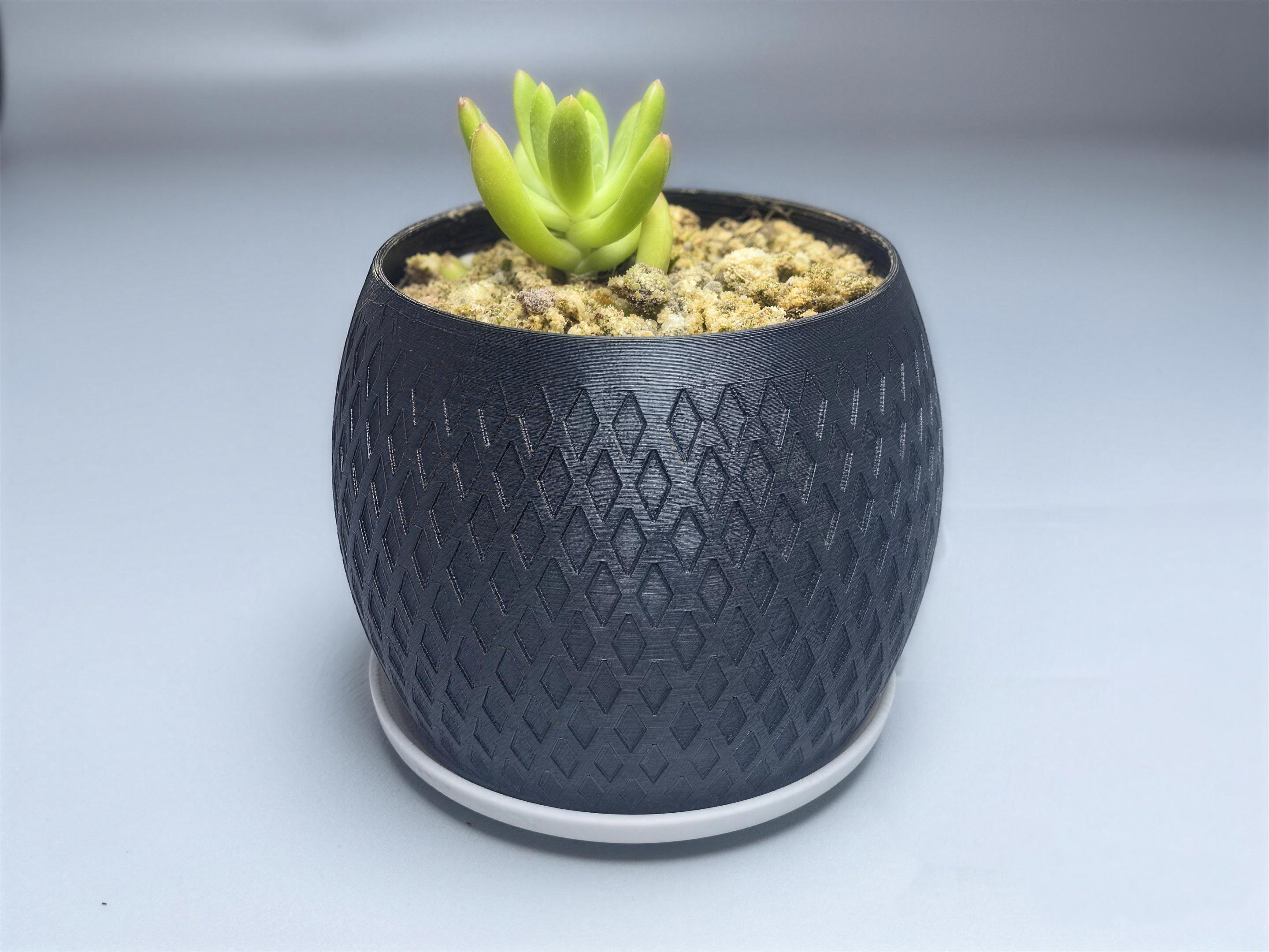 Miniatura 2 do modelo 3D 简约现代花盆