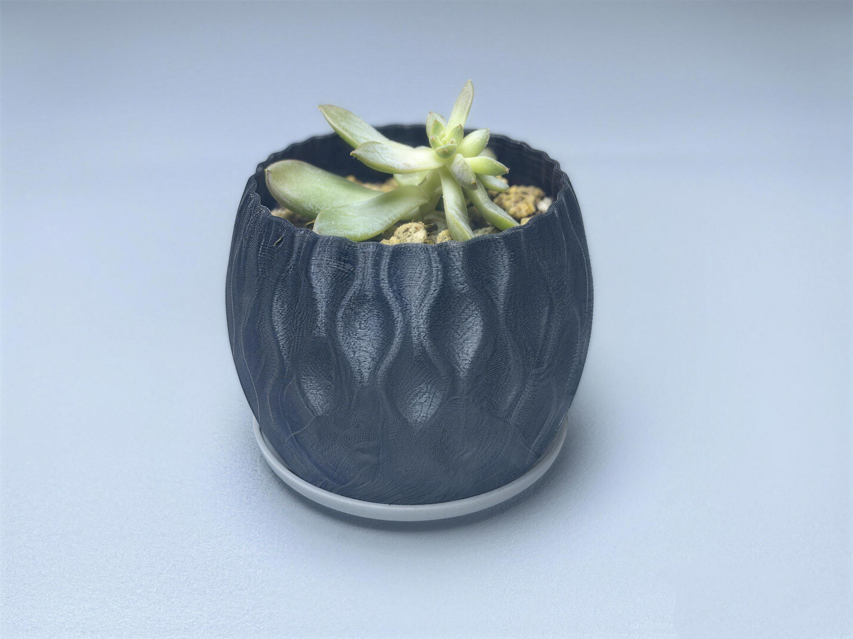 Miniatura 11 do modelo 3D 简约现代花盆