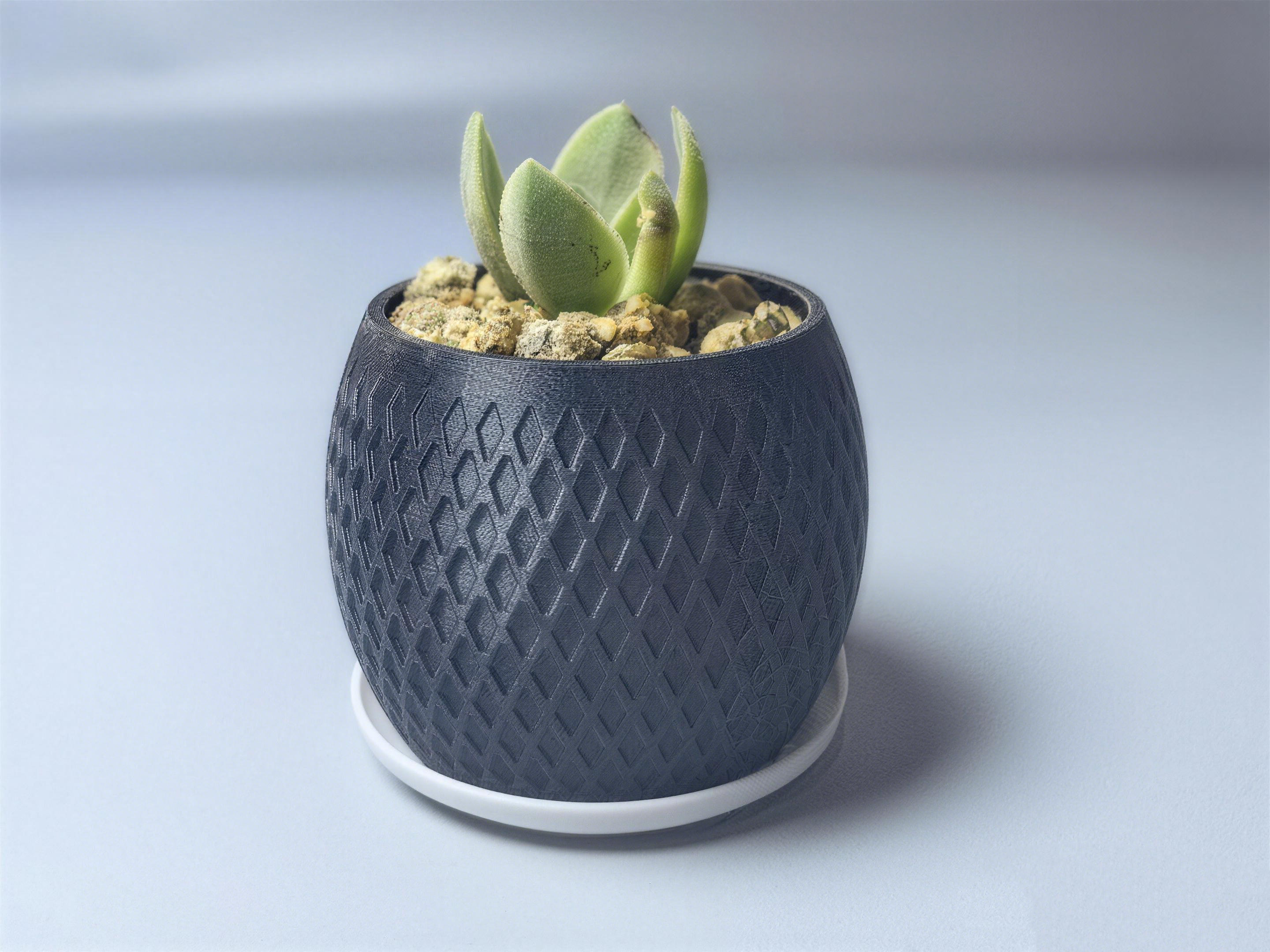 Miniatura 12 do modelo 3D 简约现代花盆