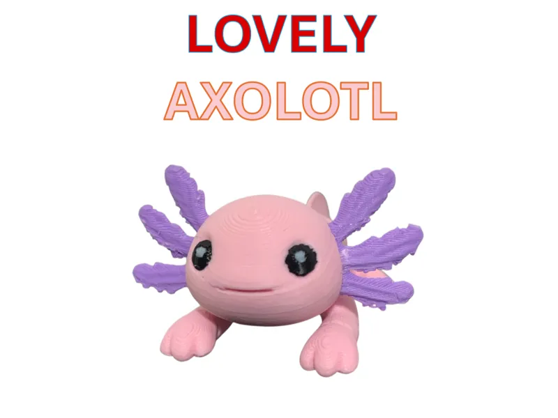 Lovely Axolotl