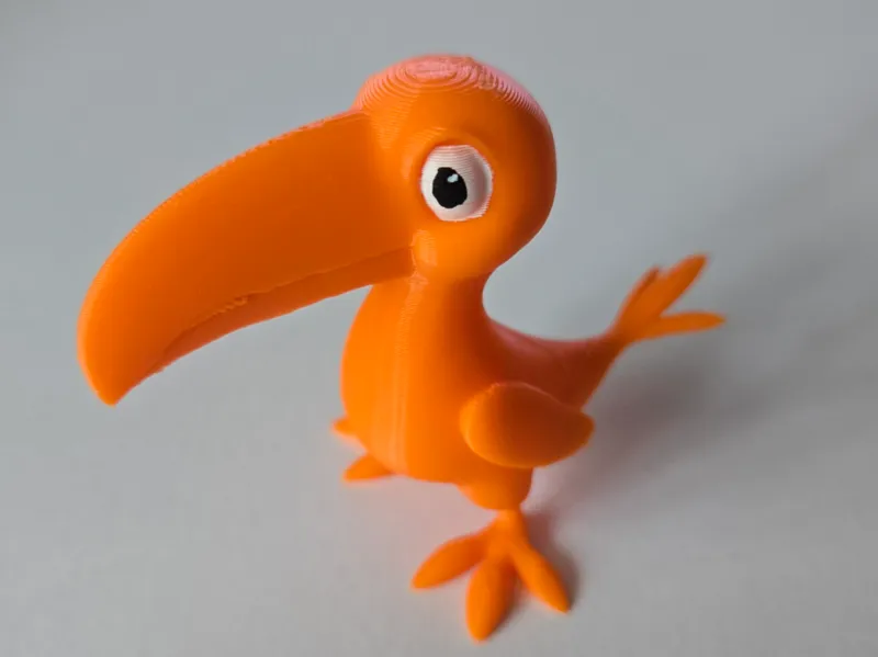 Little toucan with large feet