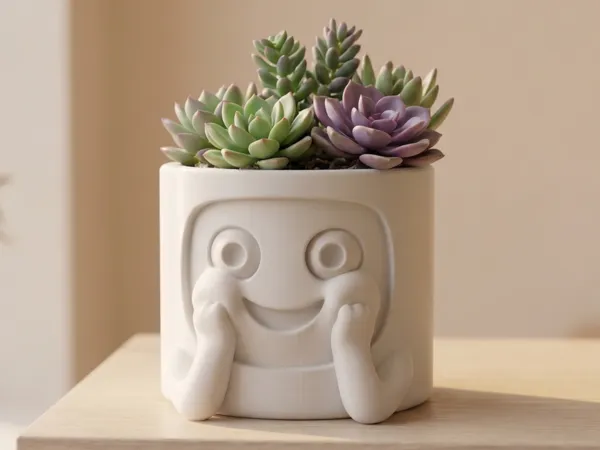 https://makerworld.bblmw.com/makerworld/model/US92fae05eee8564/design/e6e05f5042572020.png
