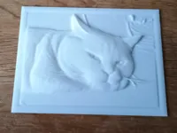 0.2mm nozzle, 0.1mm layer, 4 walls, 15% infill
