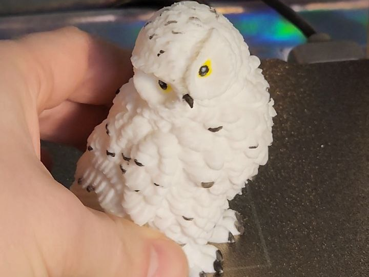 Harry Potter Owl Hedwig