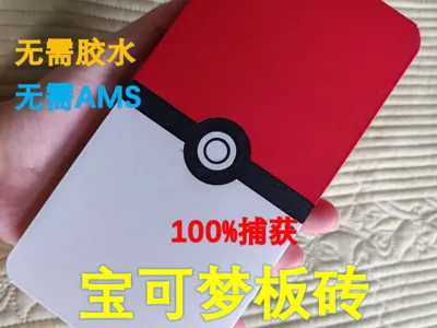Pokemon brick Pokeball brick Brick Pokeball 100% catch humans Pokemon