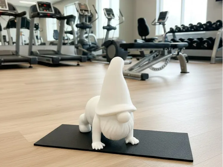 Gnomo Fitness
