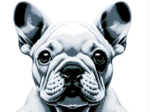 french bulldog hueforge