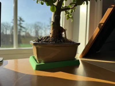 Bonsai Bar Pot Drip Tray