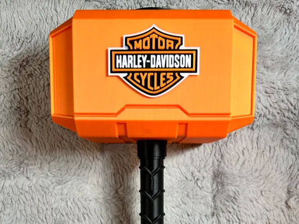 https://makerworld.bblmw.com/makerworld/model/US93129a4675cfa3/design/2024-07-17_390faa4d23778.jpeg