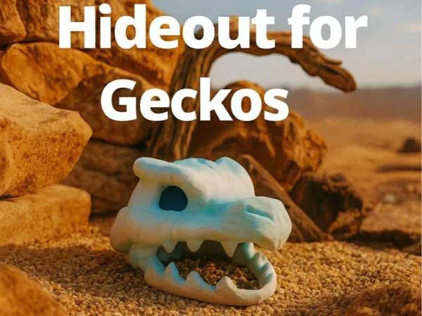 https://makerworld.bblmw.com/makerworld/model/US9314f68b464f68/design/2025-10-30_dedf1de90b0888.jpg