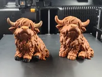 0.16mm layer, 2 walls, 15% infill