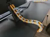 openGrid Lite Mount