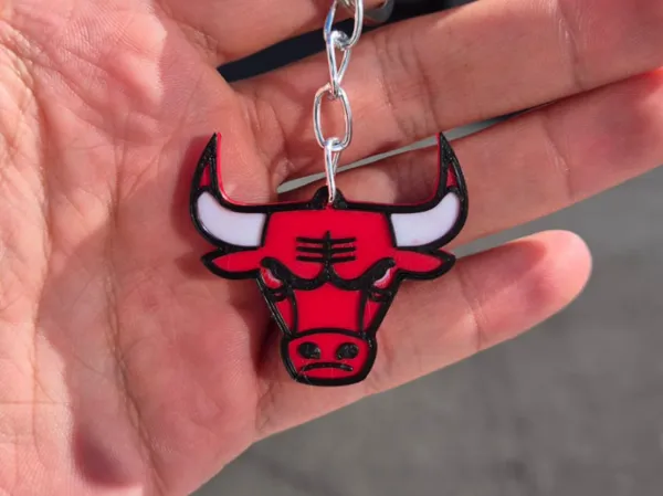 https://makerworld.bblmw.com/makerworld/model/US931caa068baa2c/design/2025-07-07_edceb2793c5df8.jpeg
