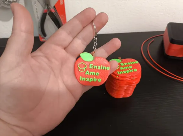 https://makerworld.bblmw.com/makerworld/model/US93200e60ea0709/design/2025-12-08_14c20d757f5d.jpeg