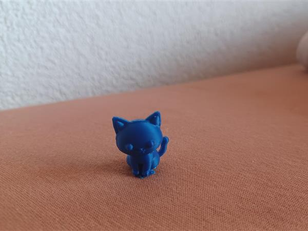 süsse Katze