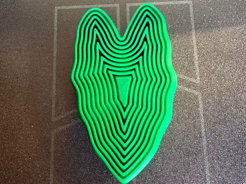 Alocasia Fidget