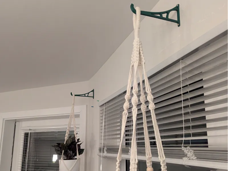 Hanging Plant Hanger