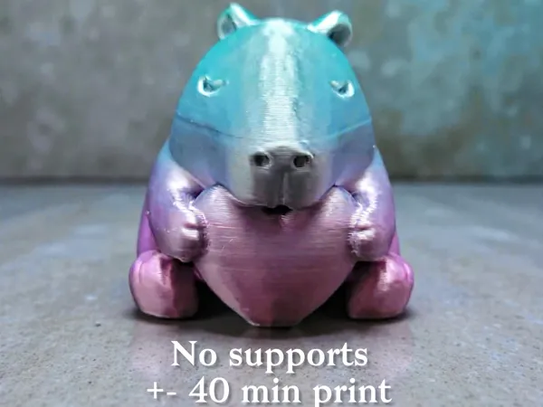 https://makerworld.bblmw.com/makerworld/model/US932dababee4e19/design/b864c025847adac8.jpg