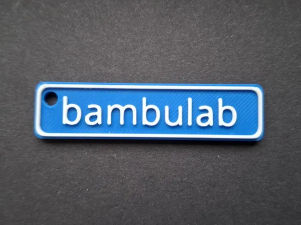 https://makerworld.bblmw.com/makerworld/model/US9330ac5026d448/design/2025-01-15_4087de4cc9f8d.jpg