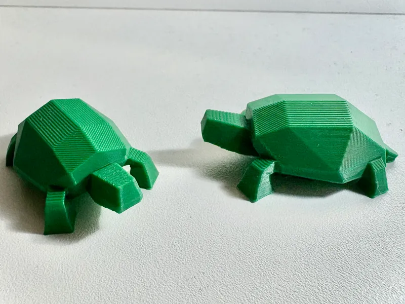 Cute Low Poly Box Turtle