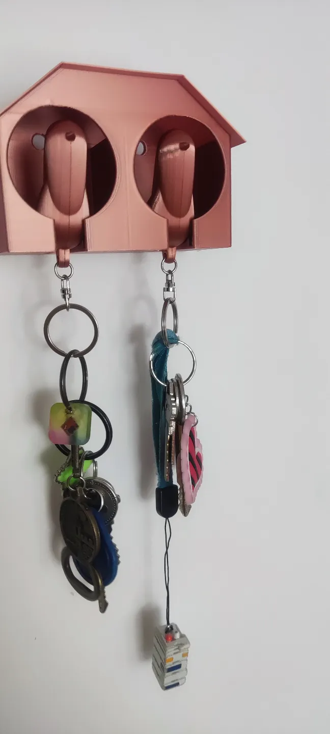 Double Birdhouse Key Holder Remixed by pinf99 - MakerWorld