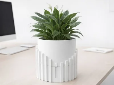 Modern Self Watering Plant