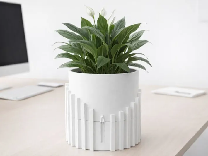 Modern Self Watering Plant