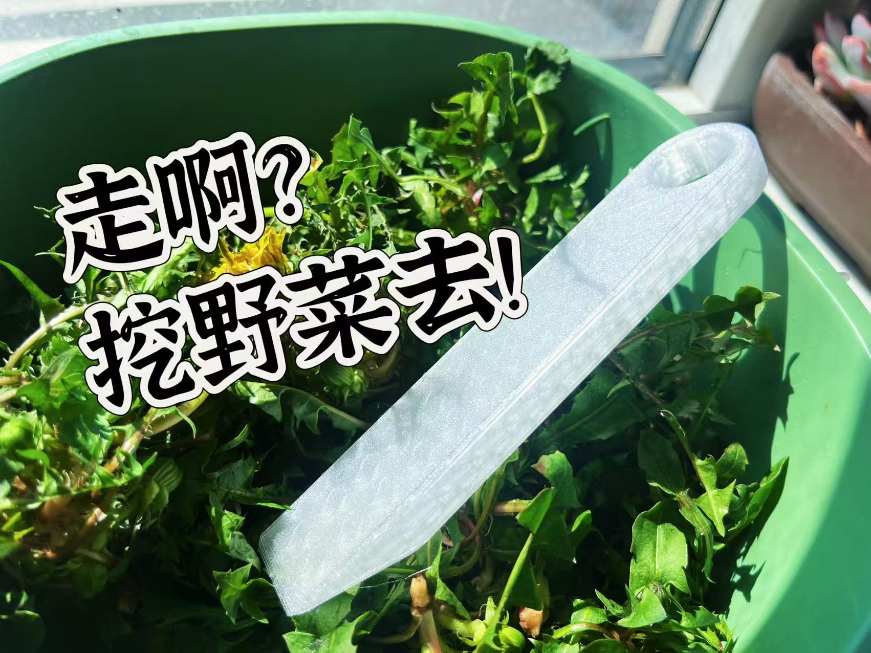 Miniatura 2 do modelo 3D 挖野菜铲刀 野菜  野菜铲 铲子 铲刀 结实耐用