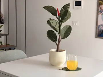 Letrero o emblema decorativo: Flexi Ficus – Rubber Plant with Leaf Coasters — vista de referencia 3