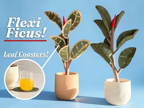 Letrero o emblema decorativo: Flexi Ficus – Rubber Plant with Leaf Coasters — referencia de MakerWorld