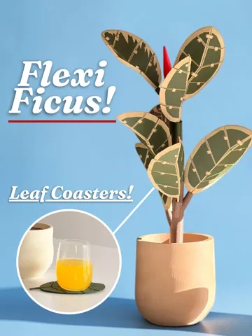 Letrero o emblema decorativo: Flexi Ficus – Rubber Plant with Leaf Coasters — vista de referencia 2