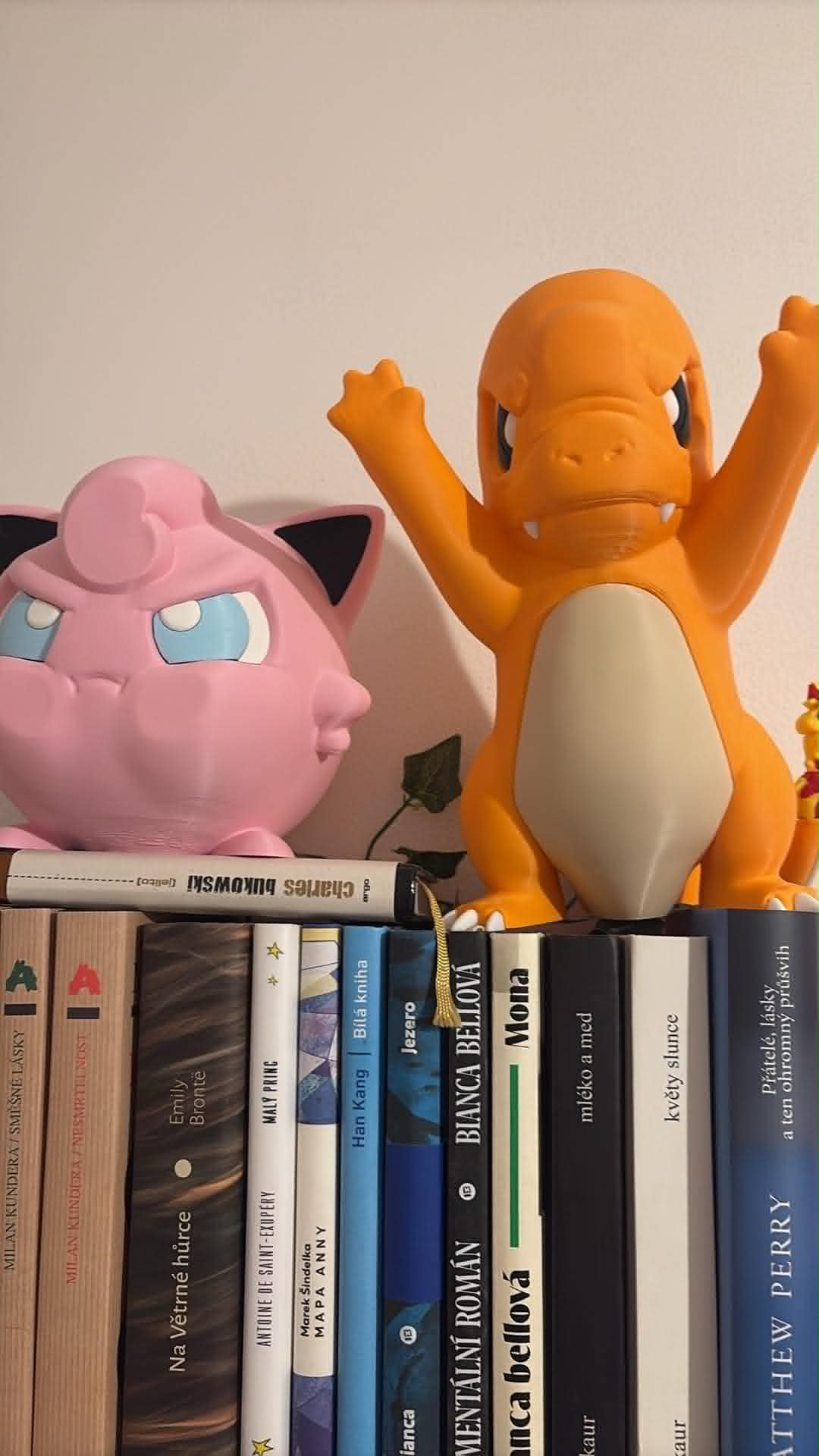 Salamèche à la fenêtre (Pokémon) — photo 9