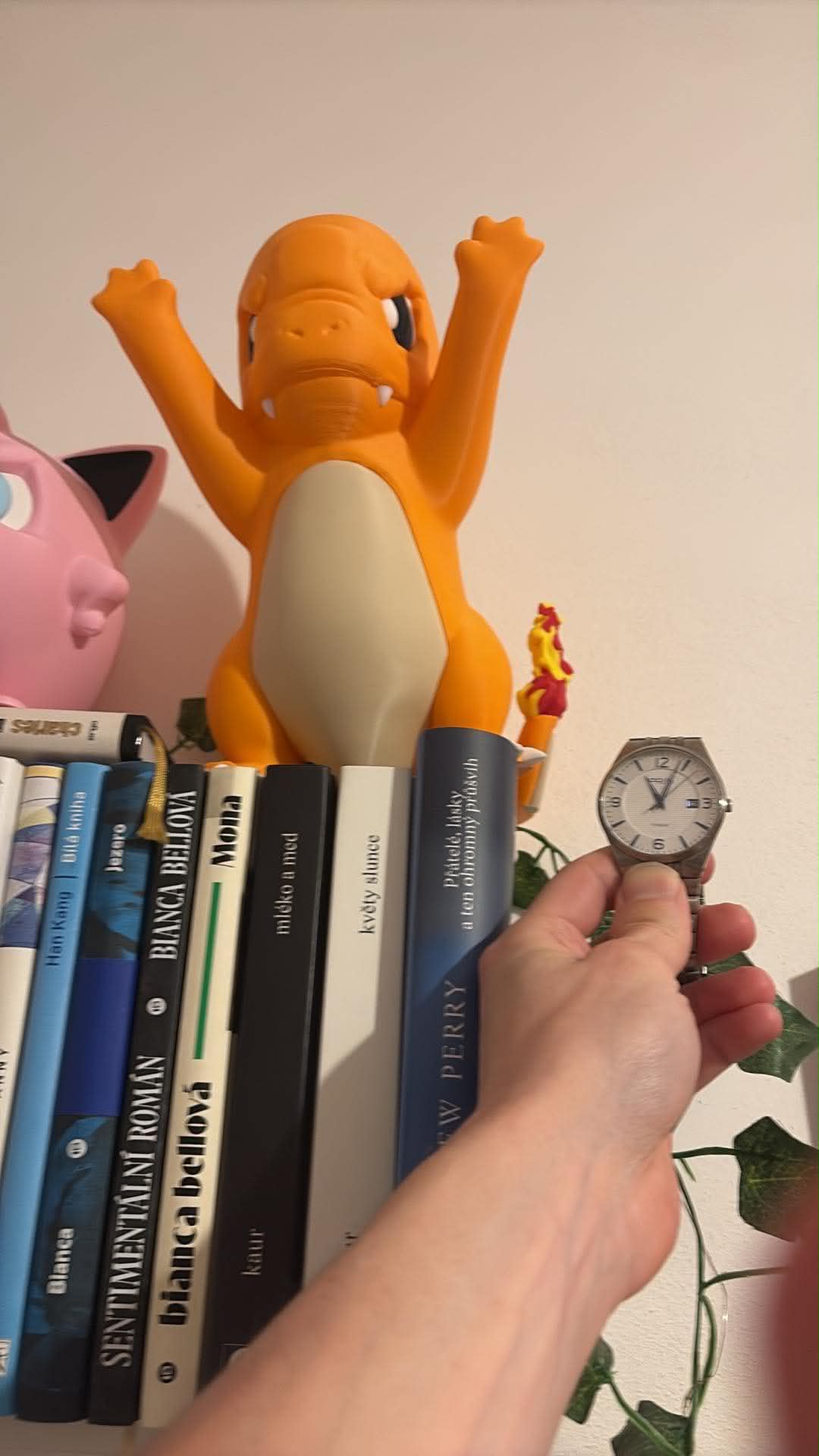 Salamèche à la fenêtre (Pokémon) — photo 8