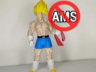 Vegeta Super Saiyajin | NO AMS