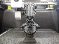 0.16mm layer, 2 walls, 5% infill