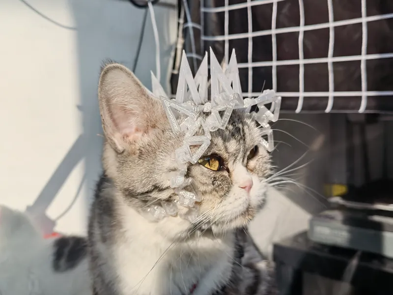 猫咪、小狗、宠物尖刺头盔 Cat hat