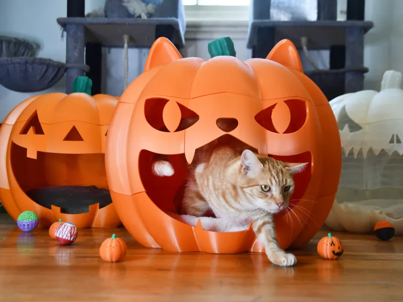 Giant Jack O Lantern  Pumpkin Pet Bed 