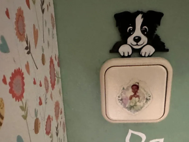 Border Collie. Adorno para llave de luz.
