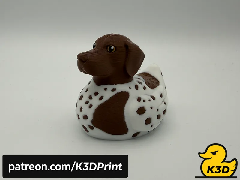 German Shorthaired Pointer Jeep Cruise Duck