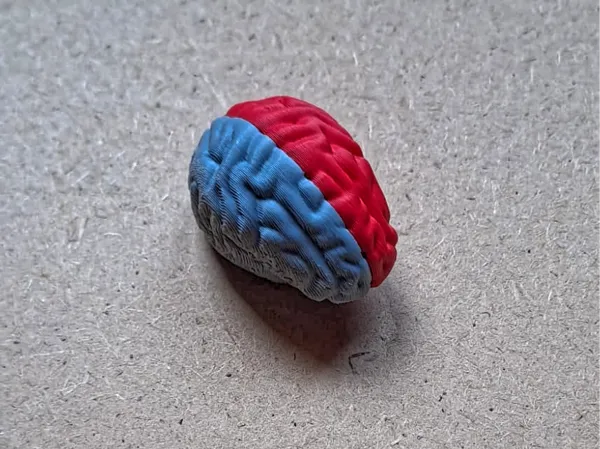 https://makerworld.bblmw.com/makerworld/model/US9347c79919b72e/design/2025-06-03_408f7d4209f998.jpg