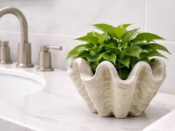 https://makerworld.bblmw.com/makerworld/model/US93492ff327c20f/design/4388fe57aac4bde2.jpg