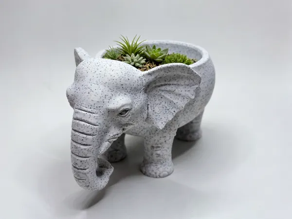 https://makerworld.bblmw.com/makerworld/model/US934ec52fe926a3/design/ae12f0169f31f93b.png
