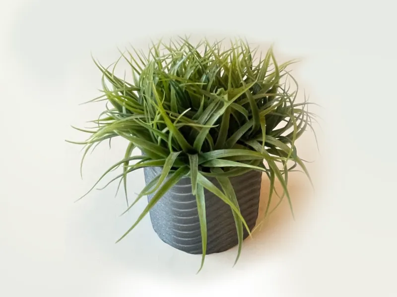 Wavy-flowerpot