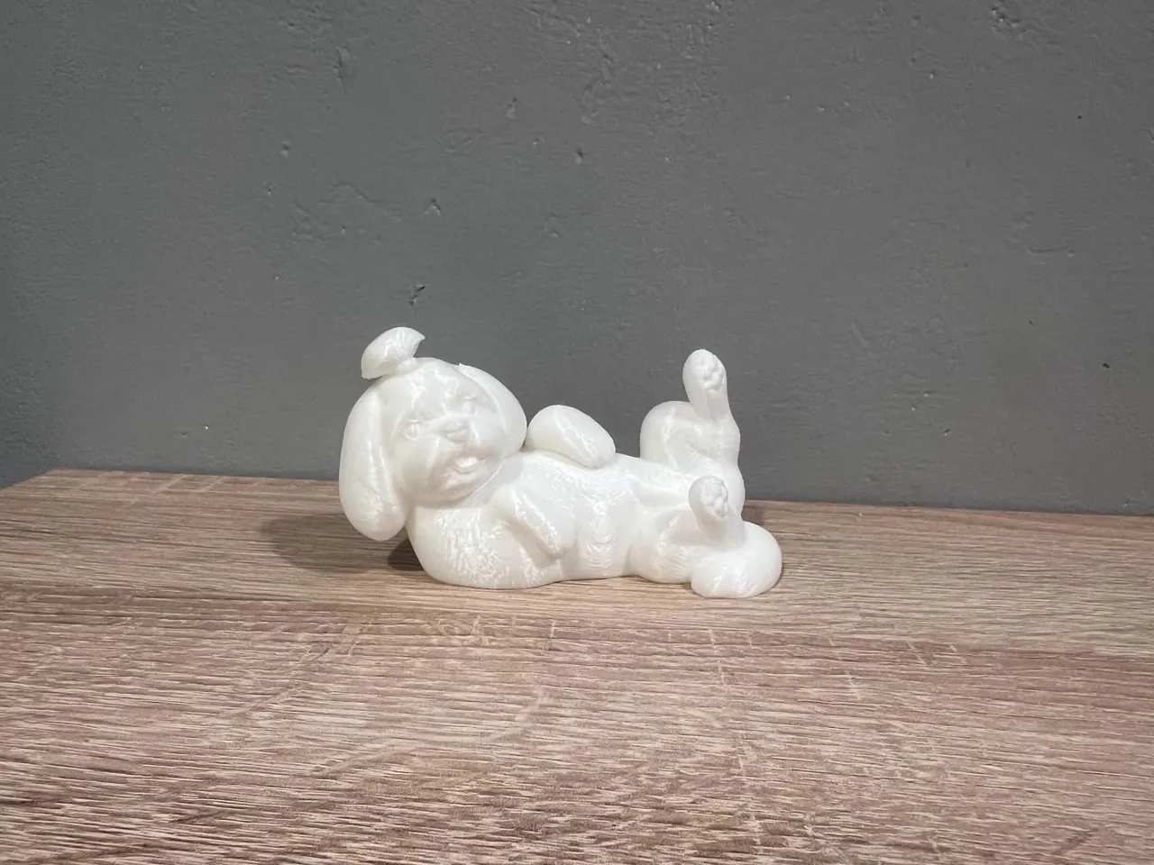 Lying Shih Tzu - Dog - Animal - Decor view 3