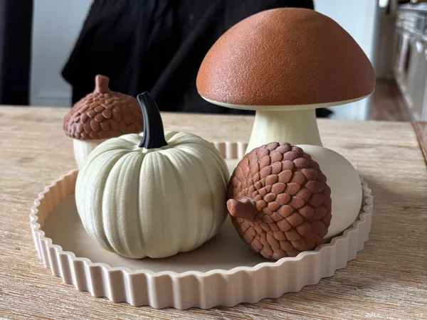 https://makerworld.bblmw.com/makerworld/model/US93595d47bbf4d5/design/2025-10-27_30ed550149cee.jpg